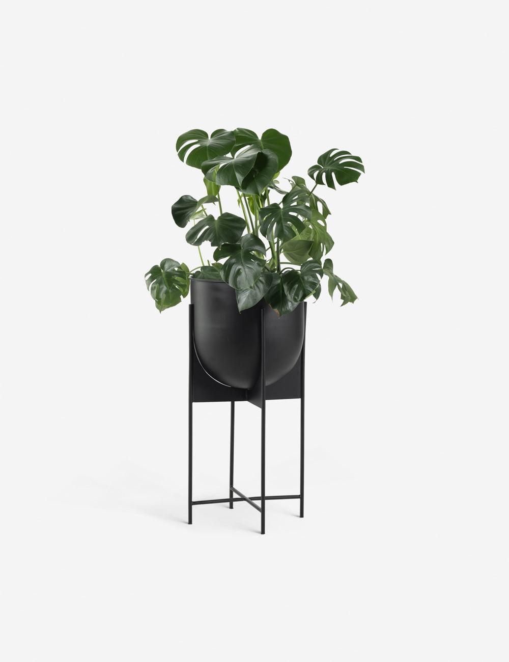 Wynn Planter