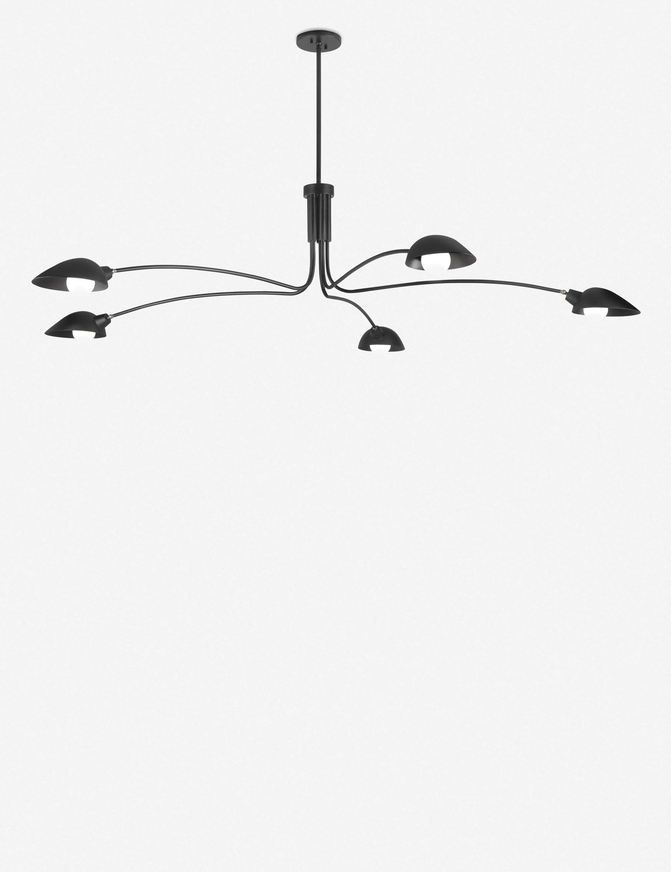 Leo Minimalist 5-Light Globe Pendant in Satin Black