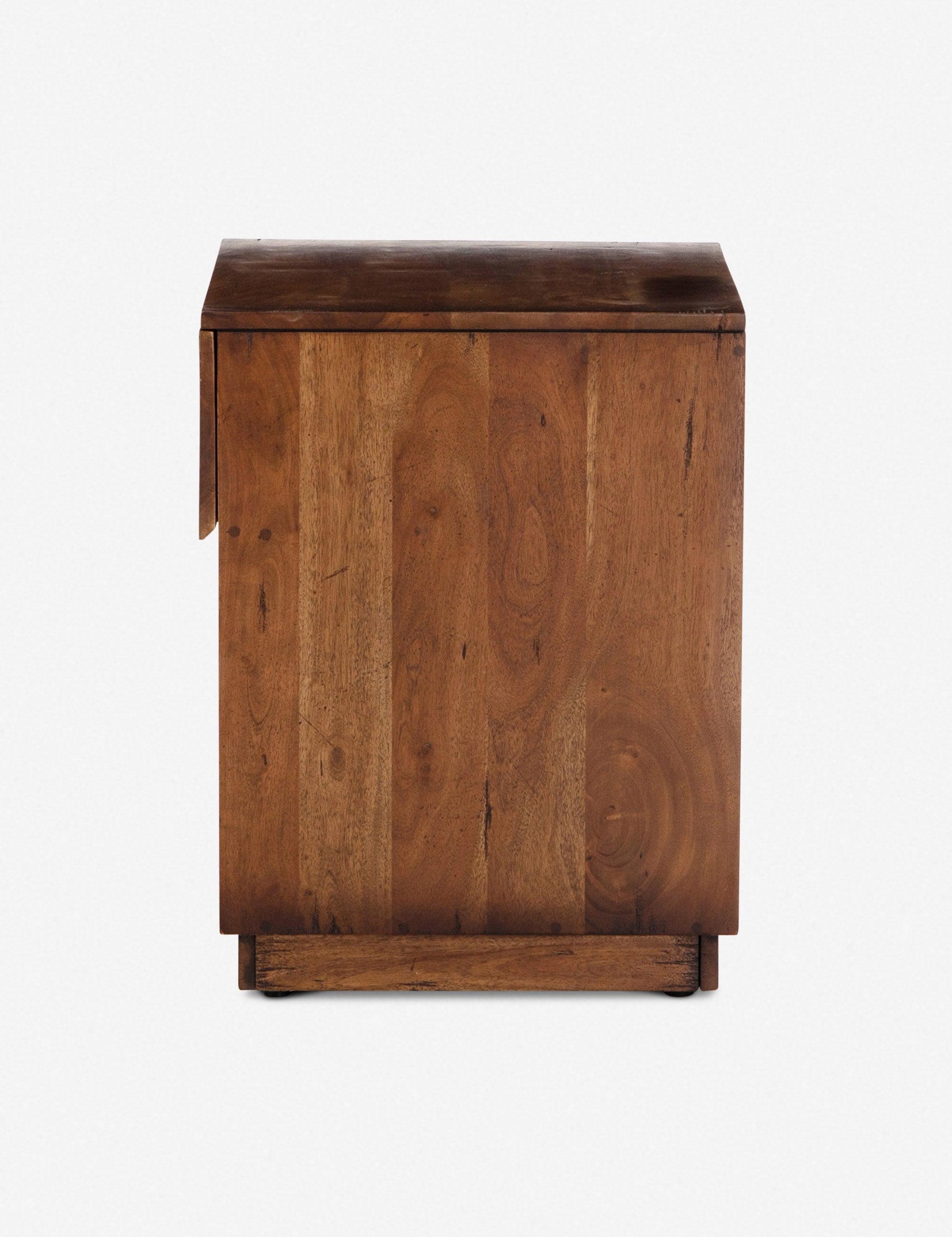 Parkview Arturo Acacia and Reclaimed Wood Nightstand