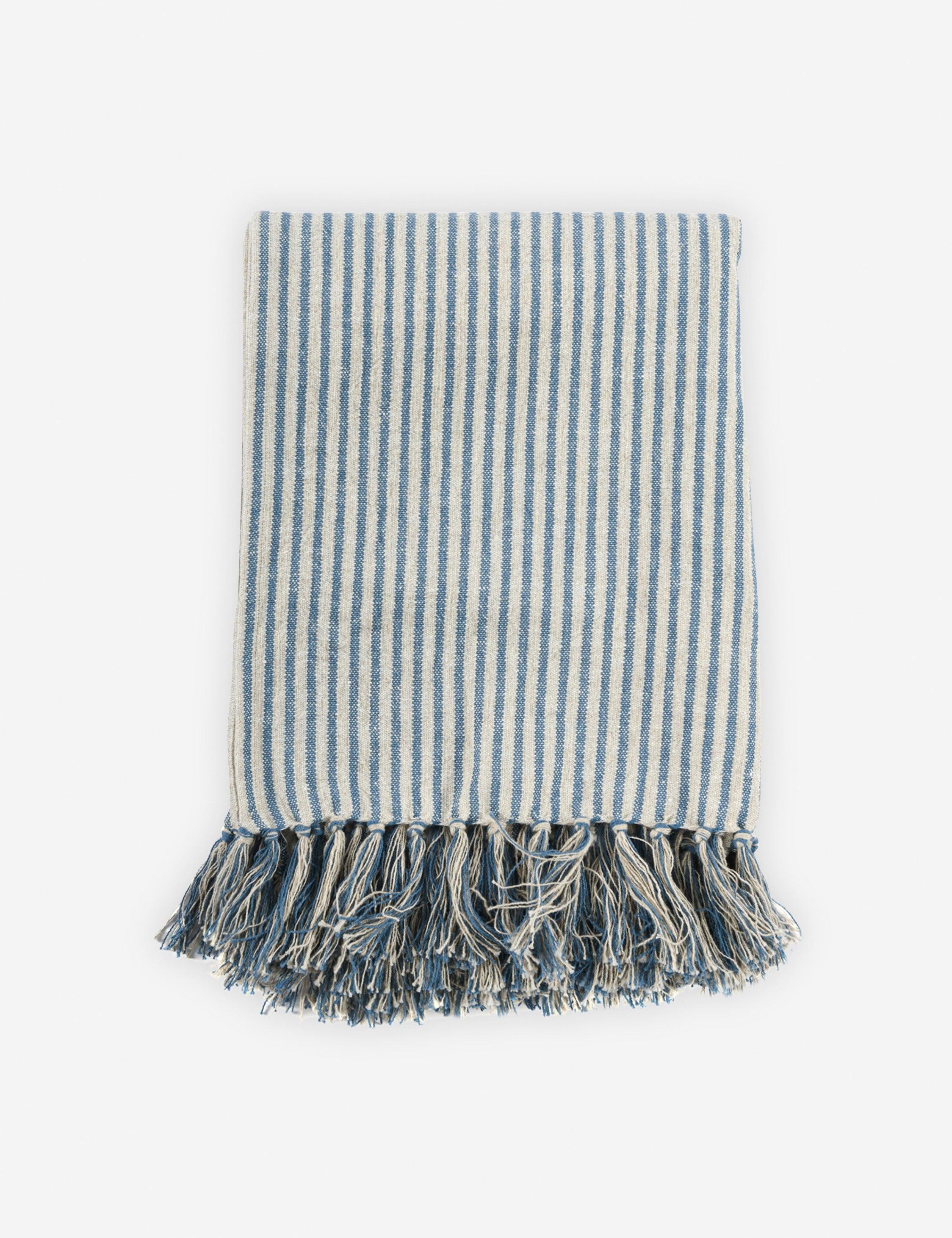 Stasiya Indoor / Outdoor Throw, 50" x  70", Blue and Natural