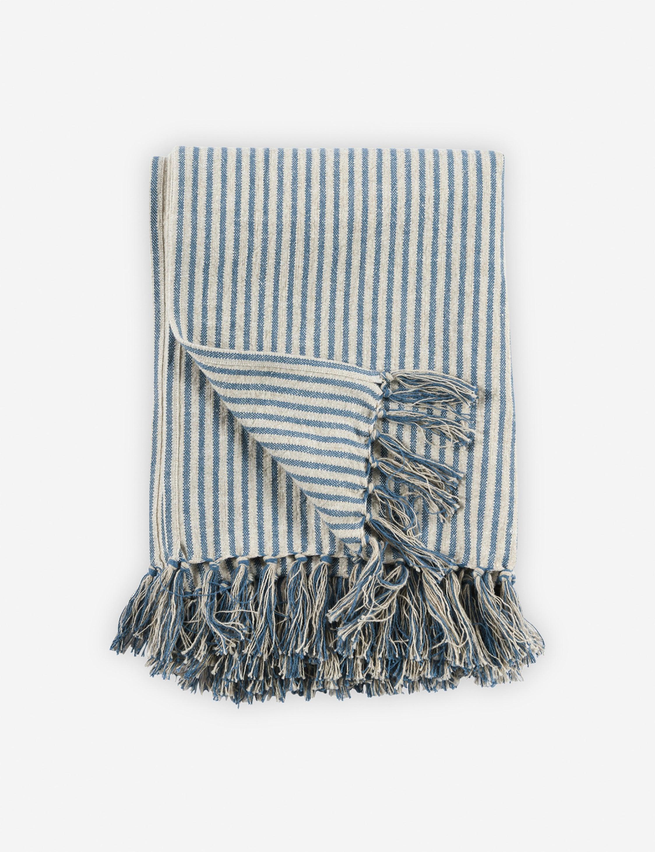 Stasiya Indoor / Outdoor Throw, 50" x  70", Blue and Natural