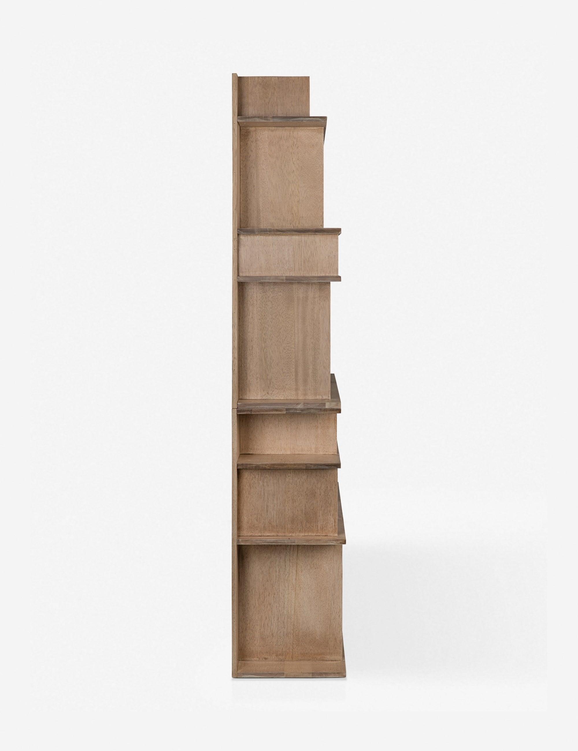 Anie Bookcase