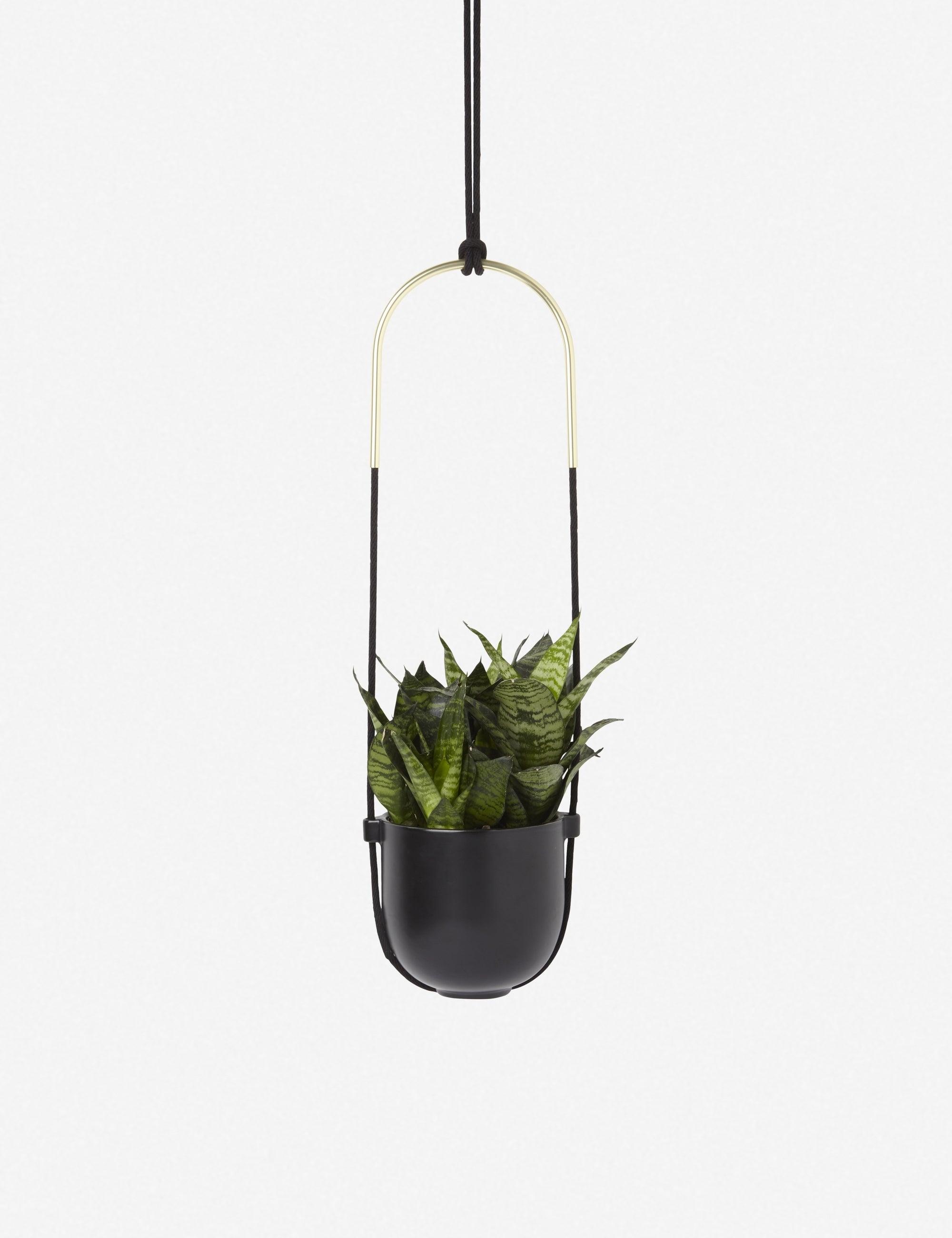 Bolo Soft Curve Black Ceramic Indoor/Outdoor Hanging Planter