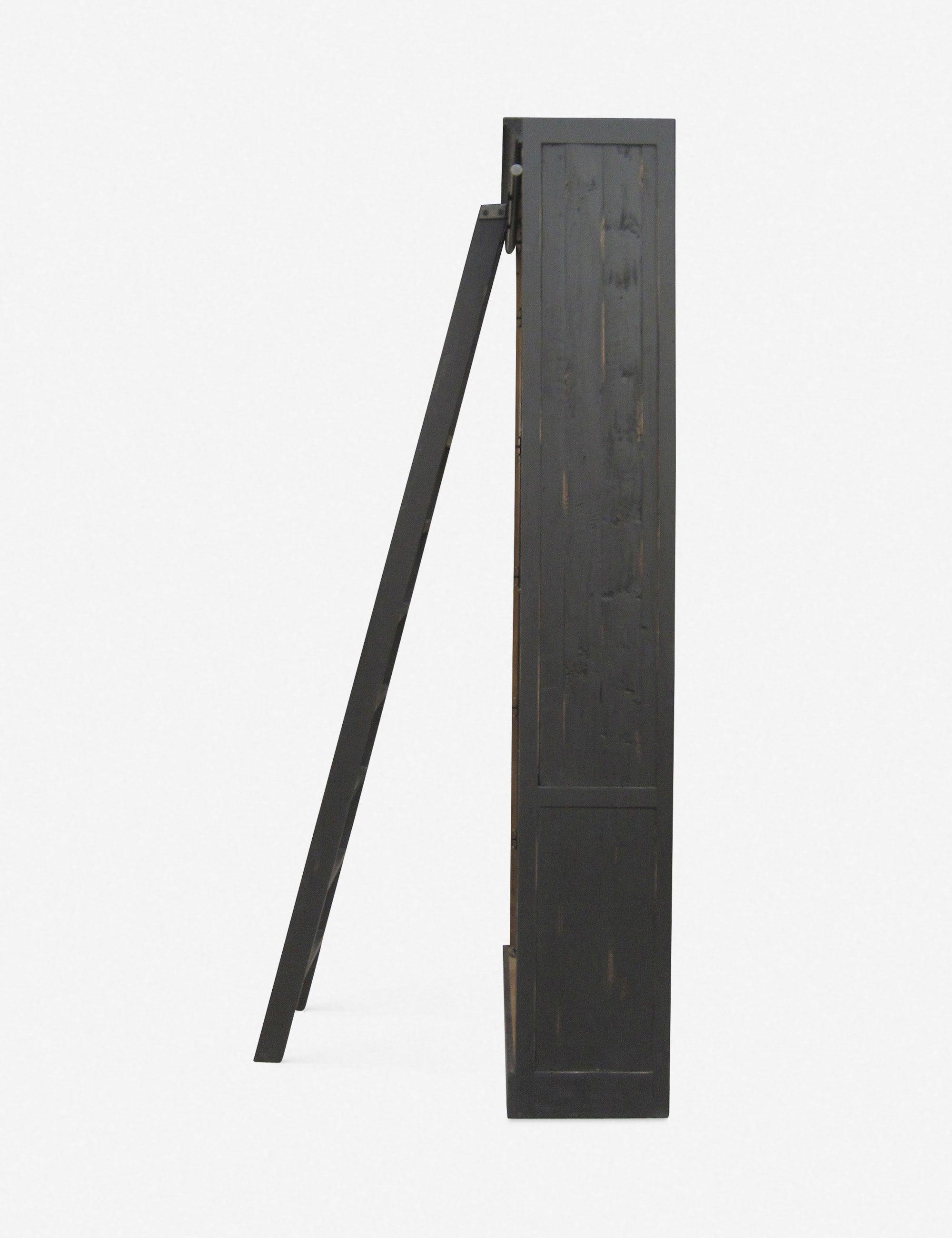 Mallory Bookcase with Ladder