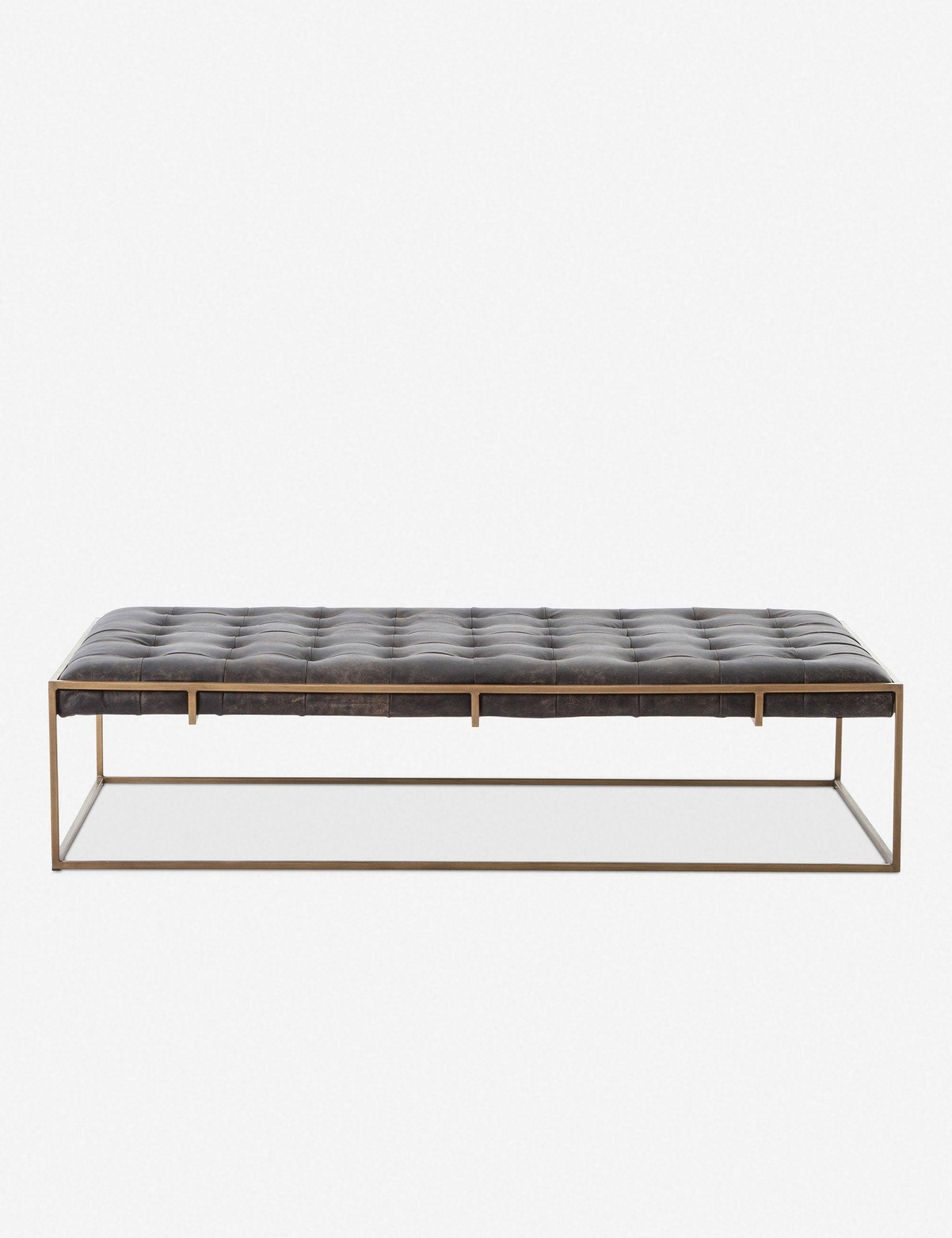 Olwina Leather Coffee Table - Large