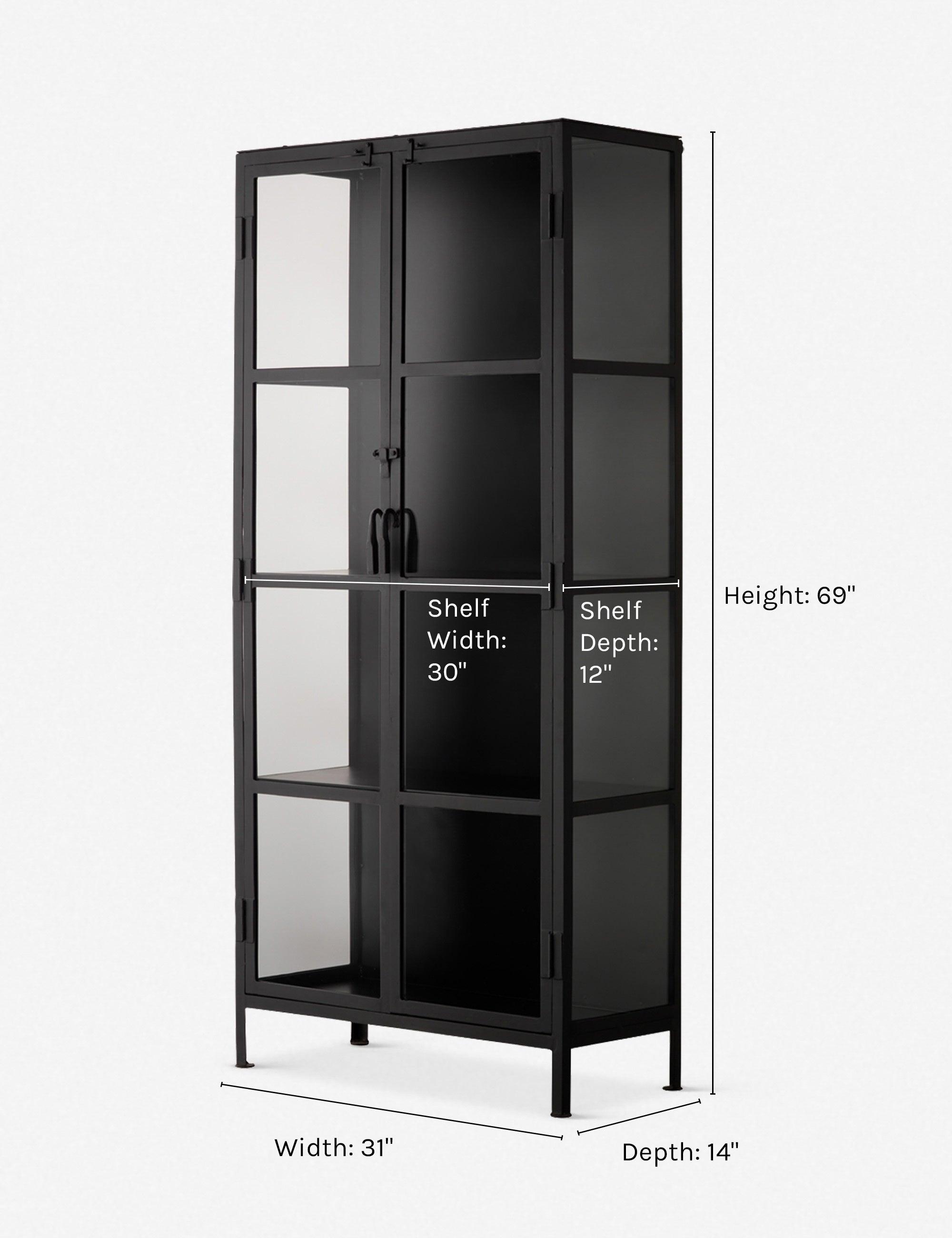 Sleek Black Metal and Glass Minimalist Curio Cabinet