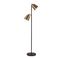Matte Black and Antique Brass Dual-Head Adjustable Floor Lamp