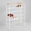 Tiered Minimalist White Steel Shoe Rack with Wood Top