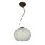 Luna Carrera Glass Globe Pendant Light in Brushed Bronze