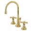 Millennium Polished Brass Widespread Bathroom Faucet