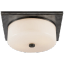 Newhouse Bronze Square-Top 2-Light Indoor/Outdoor Flush Mount