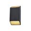 Carbon Black and Gold Dimmable Outdoor Wall Sconce