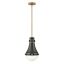 Oliver Transitional Black and Heritage Brass LED Pendant Light