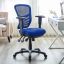 Blue Mesh and Leather Adjustable Swivel Task Chair