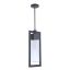 Perimeter Midnight Finish Clear Seeded Glass Outdoor Pendant Light