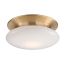 Satin Brass Irvington Globe 1-Light LED Flush Mount