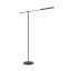 Astrid Adjustable Urban Bronze 54'' LED Novelty Floor Lamp