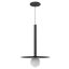 Black Glass LED Indoor/Outdoor Globe Pendant Light