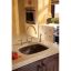 Classic Elegance 13.5" High-Arc Bronze Kitchen Faucet with Pull-Out Spray