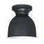 Oil Rubbed Bronze Dome Flush Mount Ceiling Light