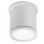 Sleek Cylindrical White Aluminum LED Flush Mount Light, Energy Star