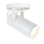 Silo X20 White Aluminum 6" LED Monopoint Spotlight with Energy Star