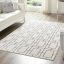 Elegant White Silver Trellis 10' x 14' Easy-Care Area Rug