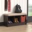 Espresso Transitional Composite Storage Bench with Cushion