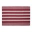 Barn Red Handwoven Stripe Cotton Area Rug 24" x 36"