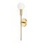 Aged Brass Globe LED Wall Sconce with Dimmable Light