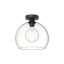 Castilla Matte Black and Clear Glass Globe Flush Mount Light