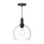 Castilla Mini Globe Pendant Light in Matte Black with Clear Glass