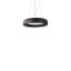 Halo Sleek LED Circular Pendant Light in Black and Brushed Nickel