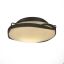 Dark Smoke Opal Glass 2-Light Drum Flush Mount