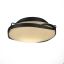 Black Opal Glass 2-Light Drum Flush Mount