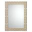 Mystique Rectangular Beveled Wall Mirror in Silver and Gold