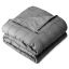 Cozy Hug Kids 10 lb Cotton Fleece Weighted Blanket in Light Gray