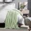 Luxurious Spring Mint Full/Queen Microplush Fleece Reversible Blanket