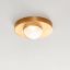 Ebell Modern LED Flush Mount in Natural Brass with Domed Glass
