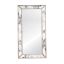 Dion Modern Glam Full-Length Wood Mirror in Silver Leaf