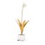 Matte White Tulip Blossom on Antique Gold Leaf Stand