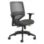 Ink Black Adjustable Mesh Mid-Back Swivel Task Chair with Lumbar Support