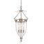 Hanover Polished Nickel 3-Light Indoor/Outdoor Glass Jar Pendant