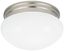 Webster Dual LED Flush Mount Ceiling Light in Brushed Nickel