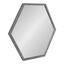 Laverty Hexagonal 30.5" Silver Framed Modern Wall Mirror