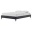 Glam Deco Charcoal Velvet Queen Platform Bed with Gold Accents