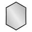 Laverty Black Hexagon Framed Wall Mirror, 22" x 31"