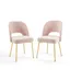 Elegant Pink Velvet & Gold Metal Side Chair