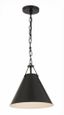 Matte Black Steel 1-Light Pendant with Chain