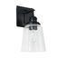 Matte Black Dimmable 1-Light Plug-In Sconce with Clear Glass Shade